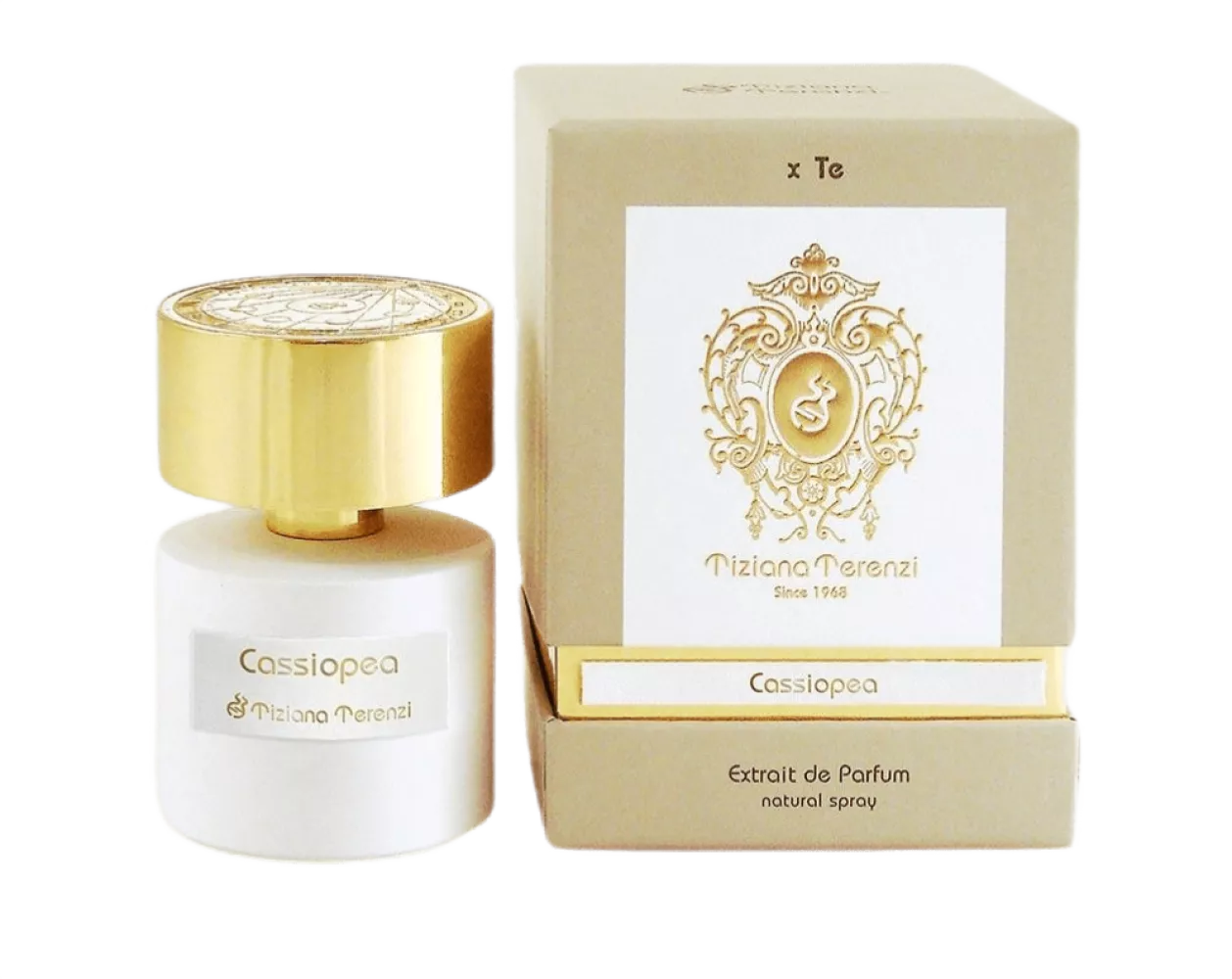 Cassiopea, Tiziana Terenzi
