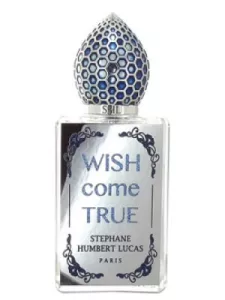 Wish Come True, Stephane Hubert Lucas