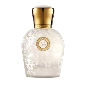 Rosa Ekaterina, Moresque