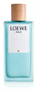 Aqua, Loewe
