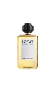 La Bella Cibeles, Loewe