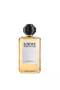 San Miguel, Loewe