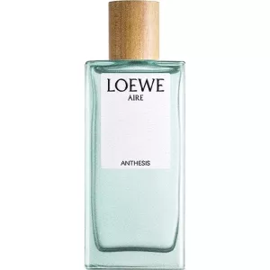 Aire Anthesis, Loewe