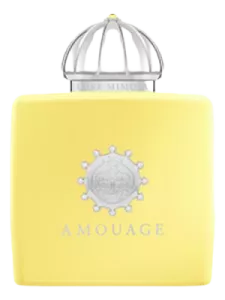 Love Mimosa, Amouage