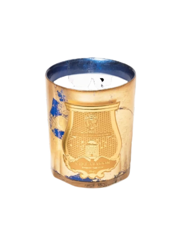 Fir (Saphir Blue) / Christmas Tree, Cire Trudon