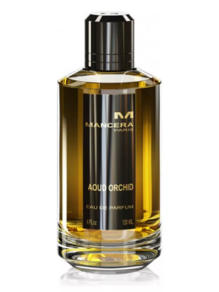 Aoud Orchid, Mancera