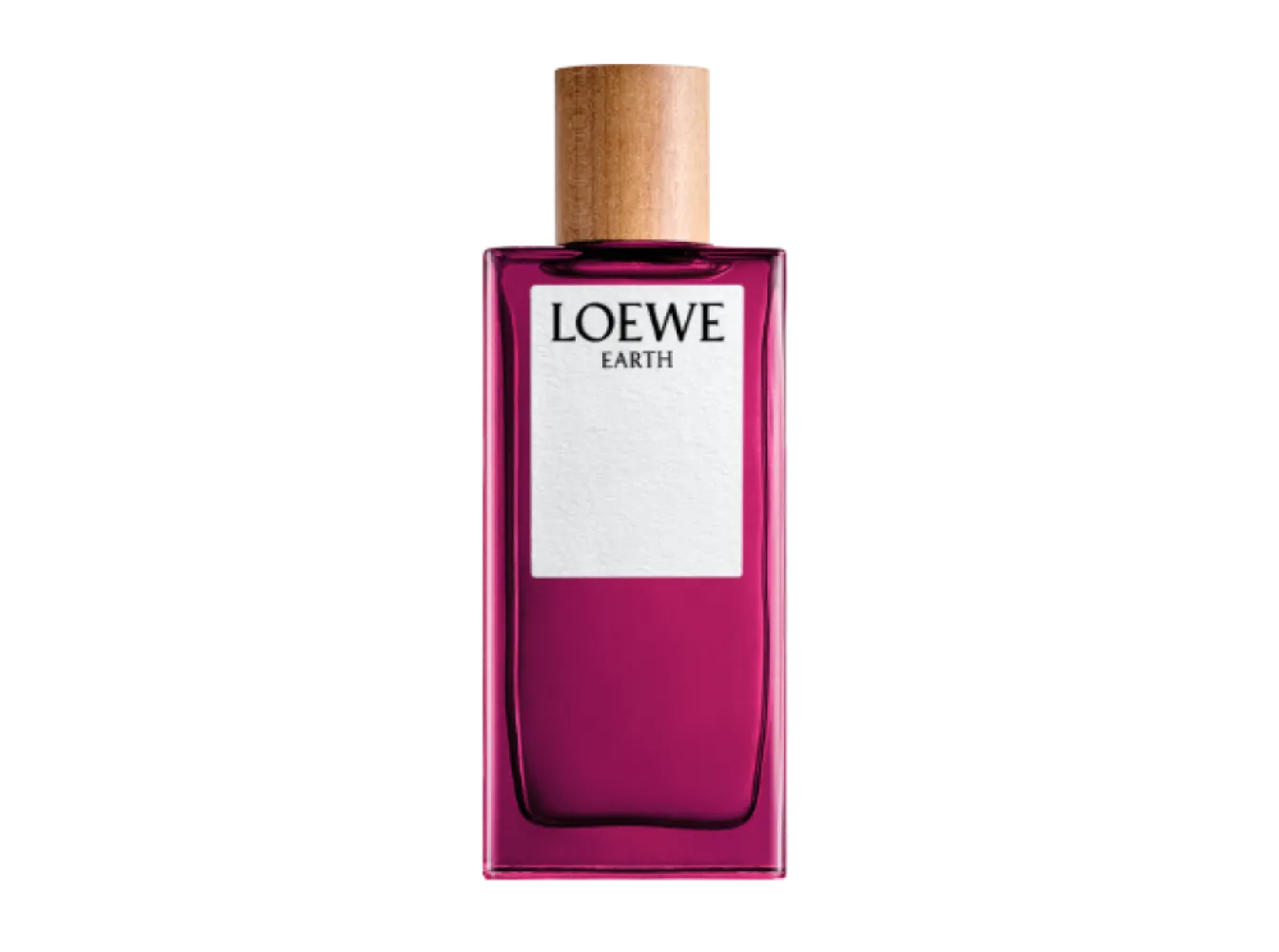 Loewe Earth