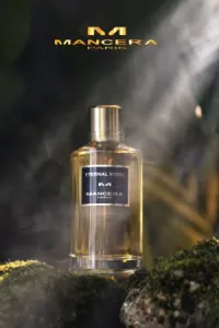 Mancera - Eternal Wood 