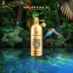 Montale - Bengal Oud - 100ml