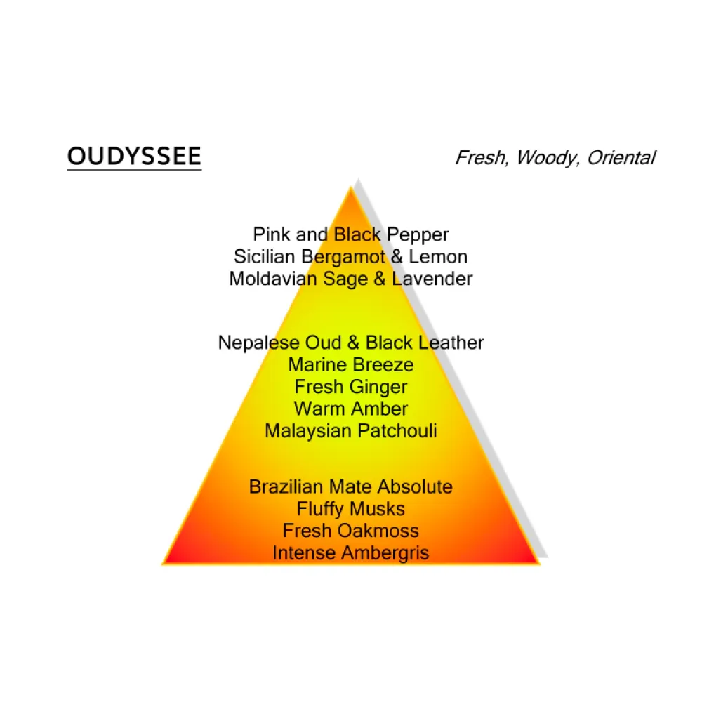 Montale - Oudyssee - 100ml