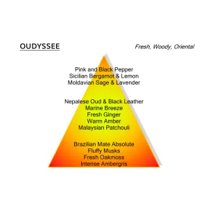 Montale - Oudyssee - 100ml