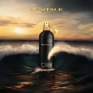 Montale - Oudyssee - 100ml