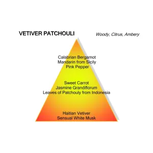 Montale - Vetiver Patchouli - 100ml