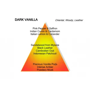 Montale - Dark Vanilla - 100ml