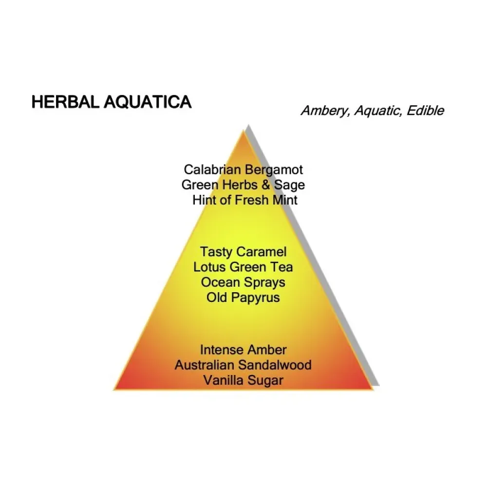 Montale - Herbal Aquatica - 100ml