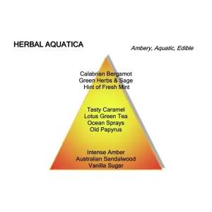 Montale - Herbal Aquatica - 100ml