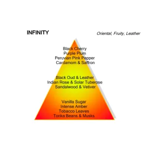 Montale - Infinity - 100ml