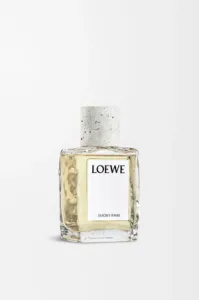 Loewe - Smoky Rain